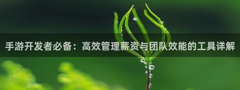 长运娱乐官网开奖记录：手游开发者必备：高效管理薪资与团队效能