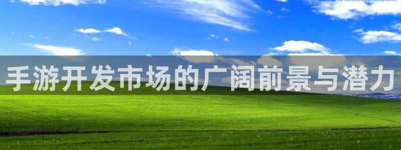 长运娱乐官网用不了了：手游开发市场的广阔前景与潜力