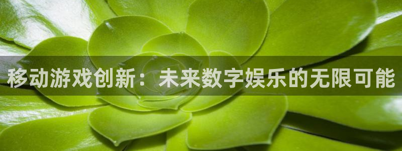 pc长运娱乐官网苹果下载：移动游戏创新：未来数字娱乐的无限可