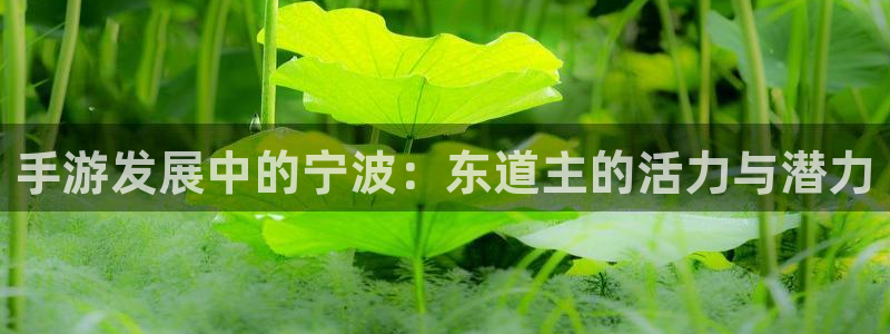 长运娱乐官网下载安卓：手游发展中的宁波：东道主的活力与潜力