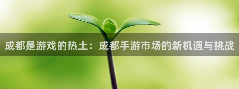 最新长运娱乐官网预测：成都是游戏的热土：成都手游市场的新机遇