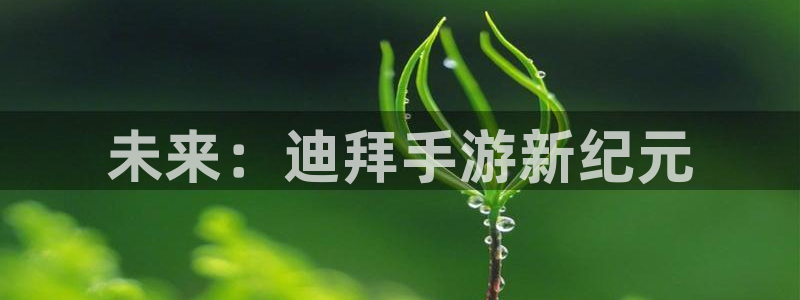 长运娱乐官网专业版官网：未来：迪拜手游新纪元