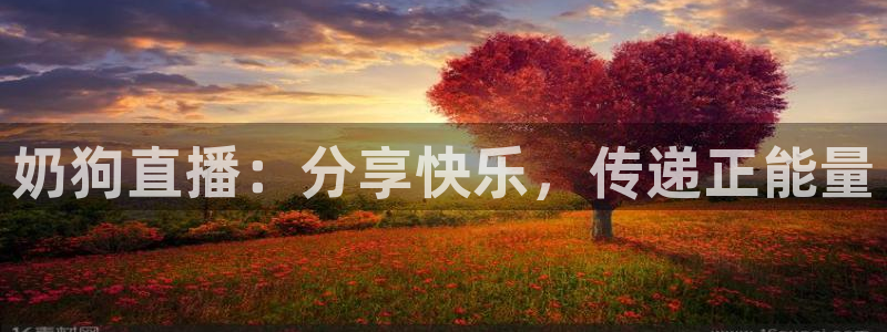88看球直播无插件nba：奶狗直播：分享快乐，传递正能量