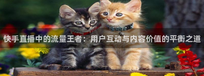 88看球直播nba免费官网：快手直播中的流量王者：用户互动与内容价值的平衡之道