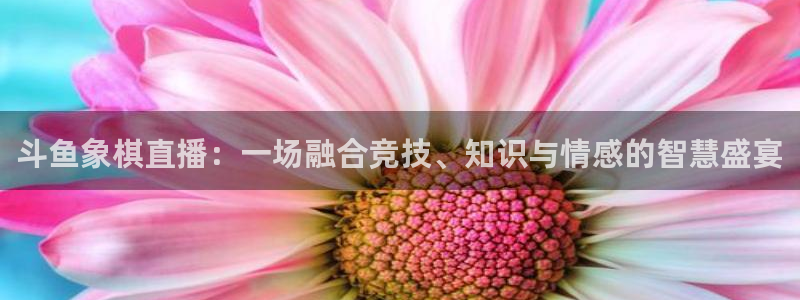 888看球直播nba：斗鱼象棋直播：一场融合竞技、知识与情感的智慧盛宴