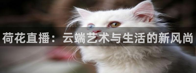 88看球直播平台：荷花直播：云端艺术与生活的新风尚