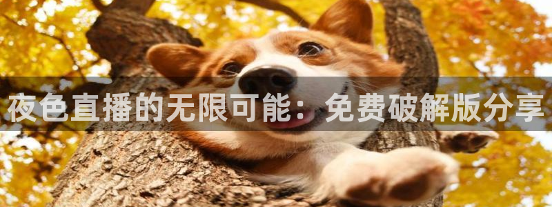 88看球直播吧：夜色直播的无限可能：免费破解版分享