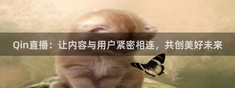 足球直播_篮球直播_免费在线看 | 88看球：Qin直播：让内容与用户紧密相连，共创美好未来